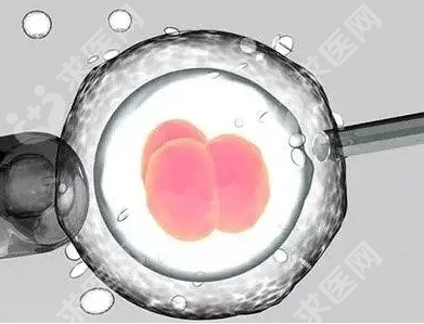 洛阳试管婴儿医院有哪些?洛阳试管婴儿医院哪家技术好?