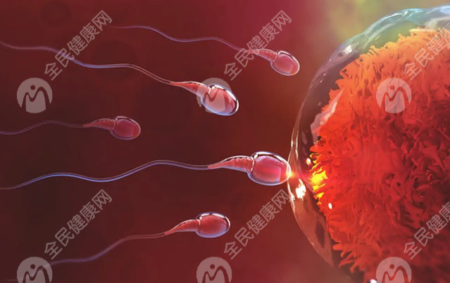重庆试管婴儿医院有哪些呢?重庆试管婴儿医院哪里正规?