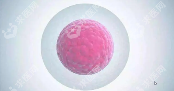广西试管婴儿医院有哪些?广西试管婴儿医院哪家可靠?