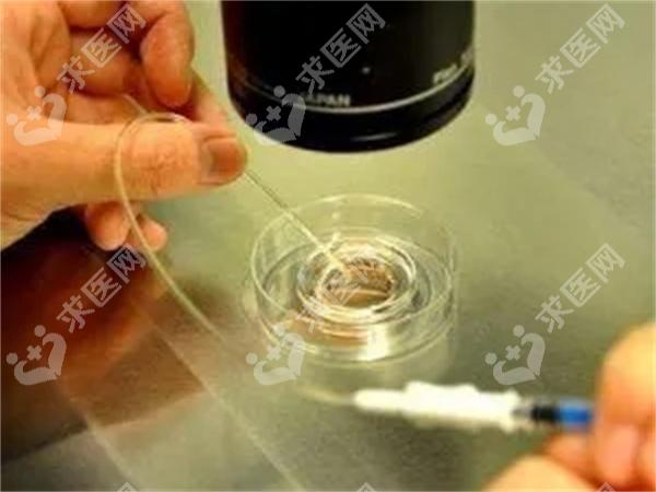 湖南三代试管婴儿医院有哪些？试管婴儿成功率高吗？