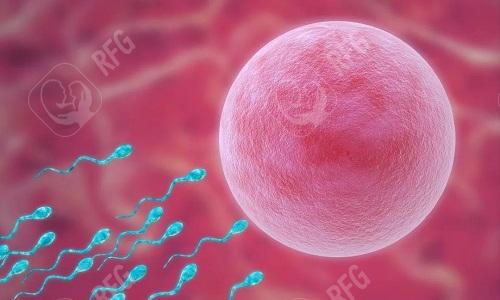 辽宁阜新第三代高龄试管婴儿技术怎么样？