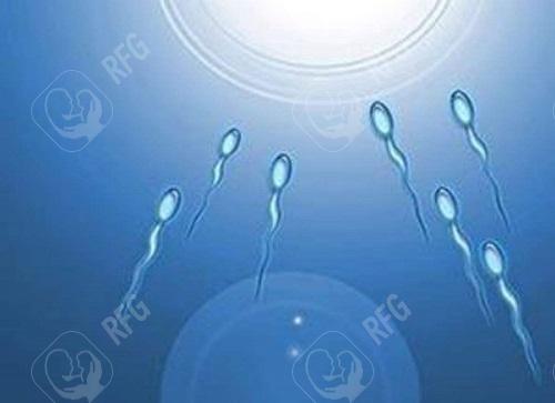 湖南娄底如何做免疫性不育试管婴儿？