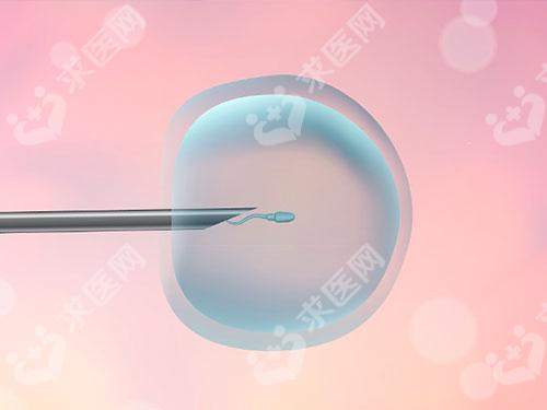 桂林有可以做试管婴儿的私立机构吗？需要多少费用？