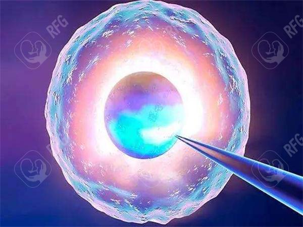 北京试管婴儿的成功率有多高？参考北京三代试管婴儿的成功率数据！