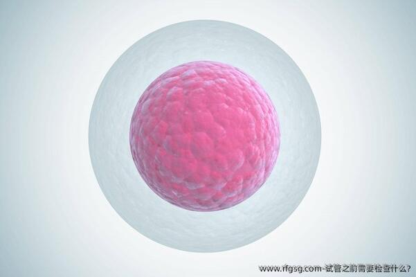 试管之前需要检查什么?