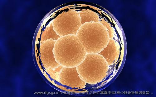 试管婴儿刚出生后死亡率真不高!极少数夭折原因竟是...
