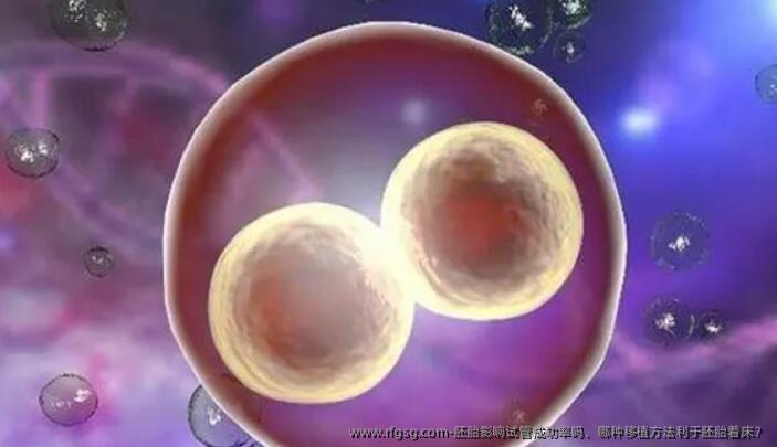 胚胎影响试管成功率吗、哪种移植方法利于胚胎着床？