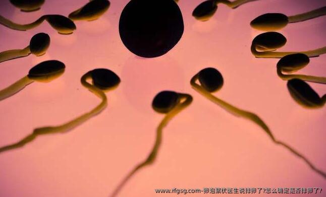 卵泡絮状医生说排卵了?怎么确定是否排卵了?