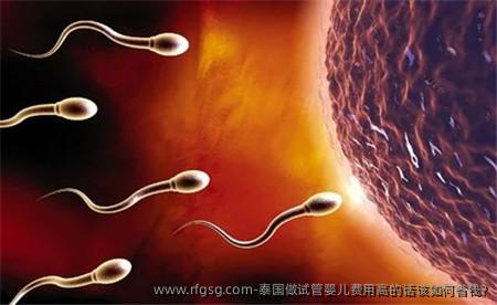 泰国做试管婴儿费用高的话该如何省钱?