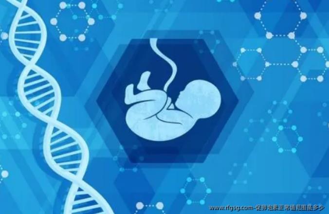 促卵泡素正常值范围是多少