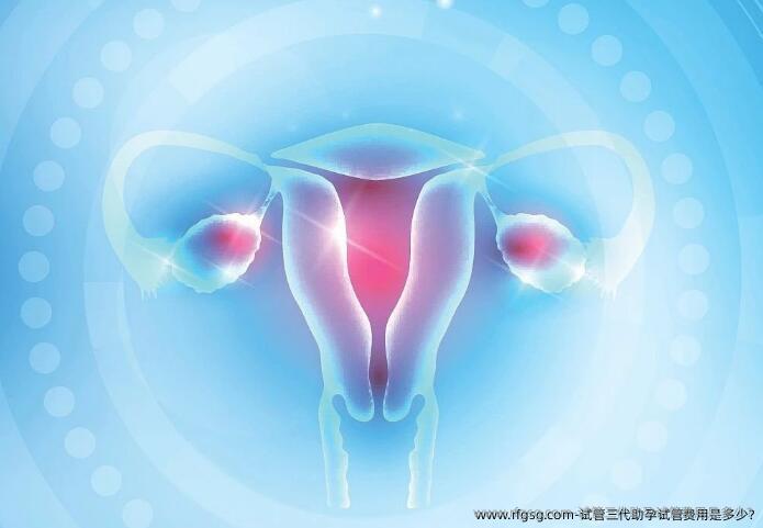 试管三代助孕试管费用是多少?