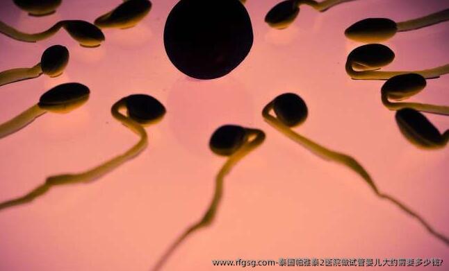 泰国帕雅泰2医院做试管婴儿大约需要多少钱?