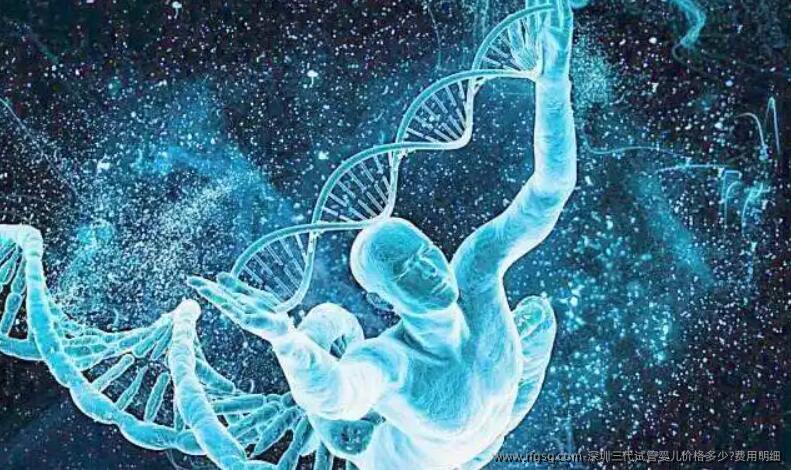 深圳三代试管婴儿价格多少?费用明细