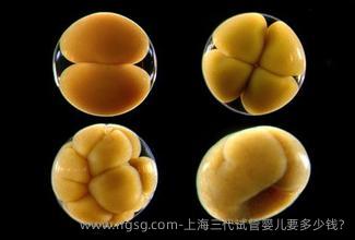 上海三代试管婴儿要多少钱?