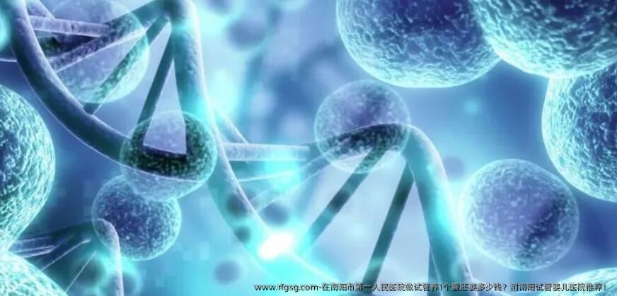 在南阳市第一人民医院做试管养1个囊胚要多少钱？附南阳试管婴儿医院推荐！