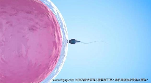 在南昌做试管婴儿费用高不高？南昌康健做试管婴儿费用？