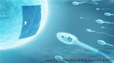 哪些现象说明受精卵成功着床了?