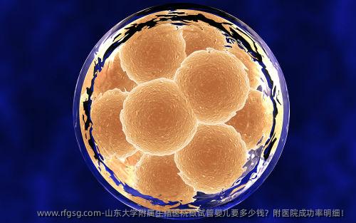 山东大学附属生殖医院做试管婴儿要多少钱？附医院成功率明细！