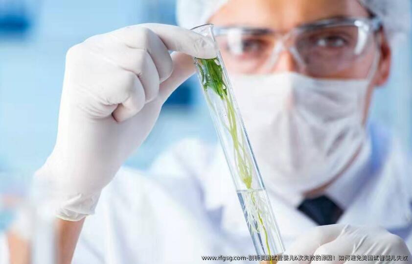 剖析美国试管婴儿6次失败的原因！如何避免美国试管婴儿失败