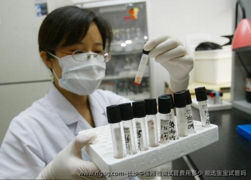 长沙中信湘雅做试管费用多少 能选宝宝试管吗