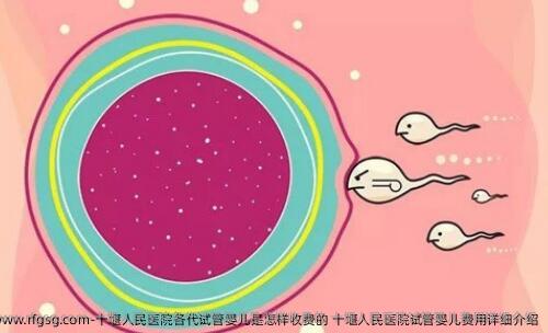 十堰人民医院各代试管婴儿是怎样收费的 十堰人民医院试管婴儿费用详细介绍
