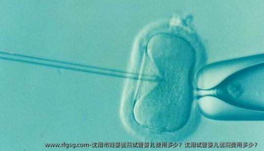 沈阳市妇婴医院试管婴儿费用多少？沈阳试管婴儿医院费用多少？