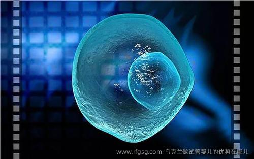 乌克兰做试管婴儿的优势在哪儿