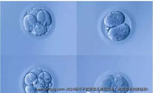 2024石河子试管婴儿医院排名？附成功率收费指南！