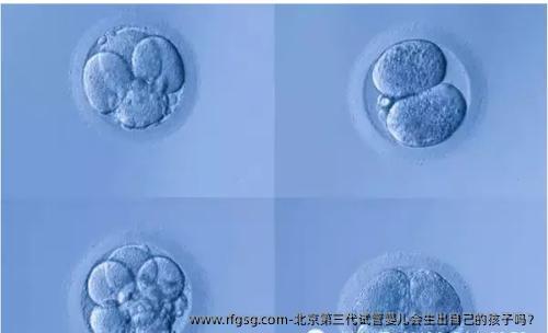 北京第三代试管婴儿会生出自己的孩子吗？