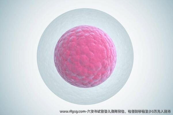 六安市试管婴儿费用预估，检查到移植至少3万元人民币