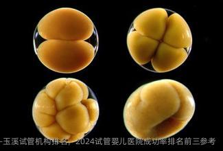 玉溪试管机构排名，2024试管婴儿医院成功率排名前三参考