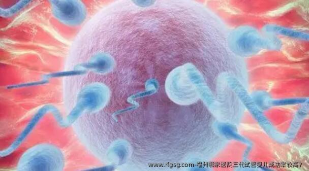 福州哪家医院三代试管婴儿成功率较高？