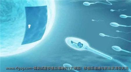 揭晓试管移植后嗜睡的3大原因！移植后嗜睡与胚胎发育有关吗