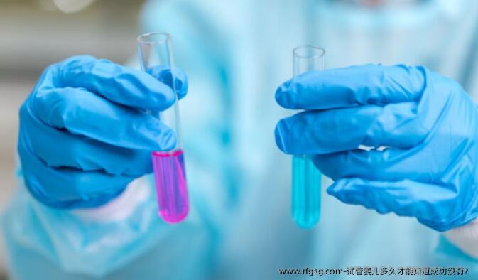试管婴儿多久才能知道成功没有？