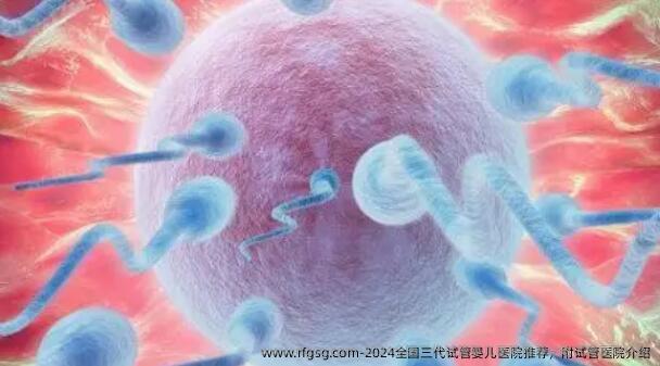 2024全国三代试管婴儿医院推荐，附试管医院介绍