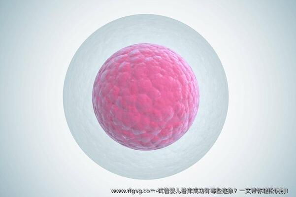 试管婴儿着床成功有哪些迹象？一文带你轻松识别！‌