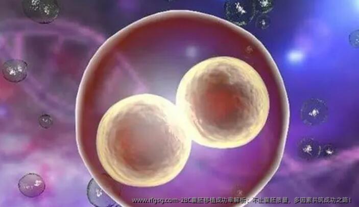 2BC囊胚移植成功率解析：不止囊胚质量，多因素共筑成功之路！