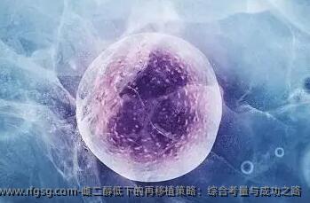 雌二醇低下的再移植策略：综合考量与成功之路
