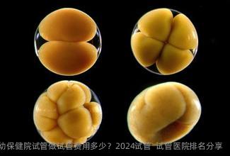 海南妇幼保健院试管做试管费用多少？2024试管  试管医院排名分享