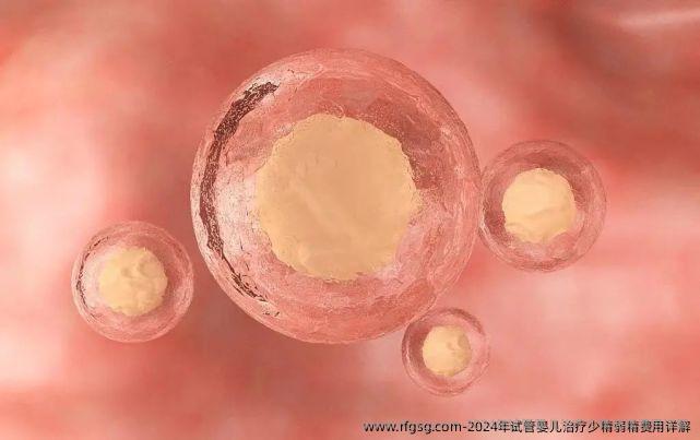 2024年试管婴儿治疗少精弱精费用详解