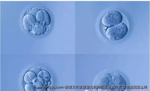 鹤壁三代试管婴儿机构在线咨询方式 这些医院怎么样
