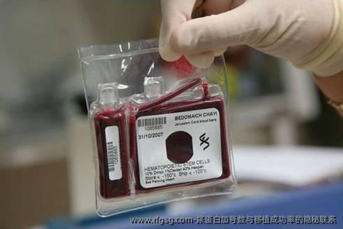 尿蛋白加号数与移植成功率的隐秘联系