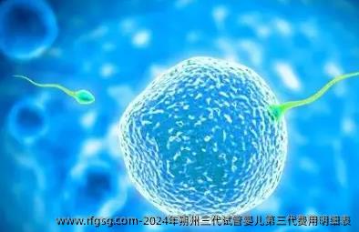 2024年朔州三代试管婴儿第三代费用明细表