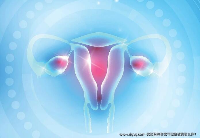 宫腔形态失常可以做试管婴儿吗？