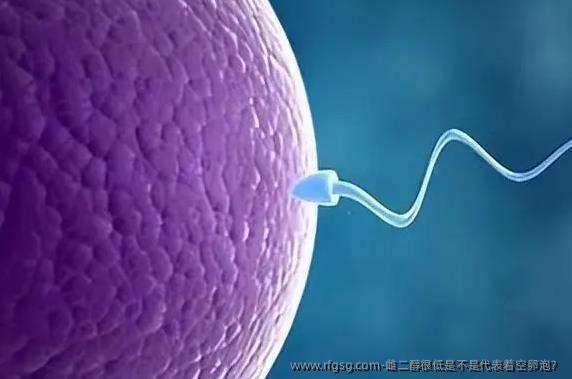 雌二醇很低是不是代表着空卵泡？