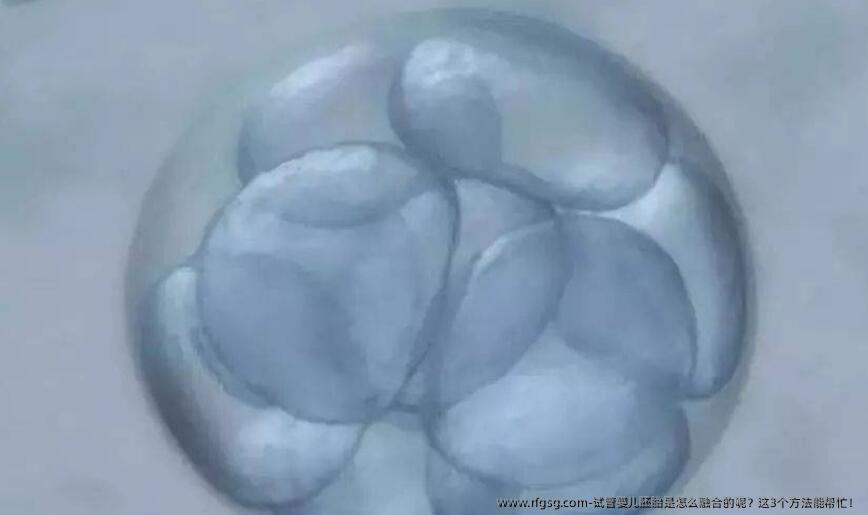 试管婴儿胚胎是怎么融合的呢？这3个方法能帮忙！