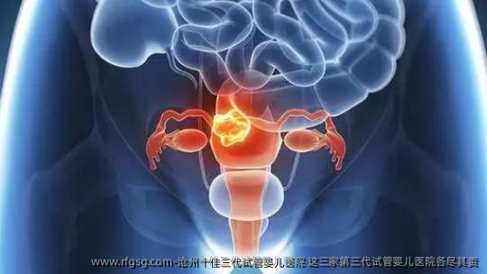 沧州十佳三代试管婴儿医院 这三家第三代试管婴儿医院各尽其责