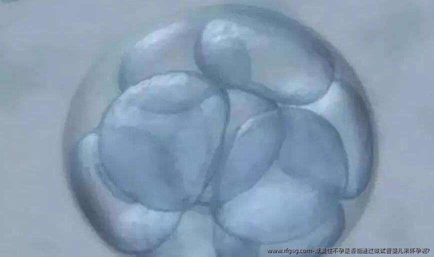原发性不孕是否能通过做试管婴儿来怀孕呢?