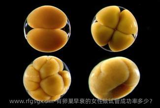 有卵巢早衰的女性做试管成功率多少？