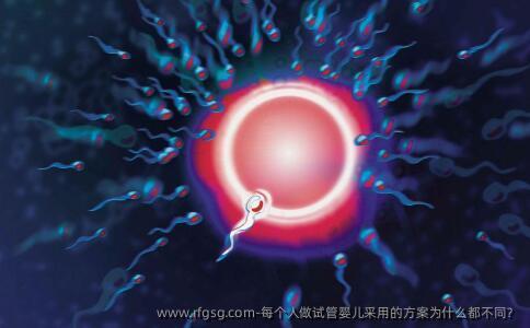 每个人做试管婴儿采用的方案为什么都不同？